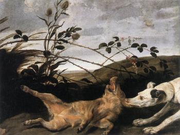 Greyhound Catching A Young Wild Boar